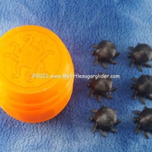 SEA CREATURES ORANGE BLK
